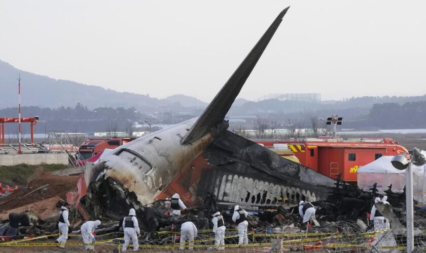 Jeju Air: Airport in Südkorea nach Flugzeugunglück durchsucht