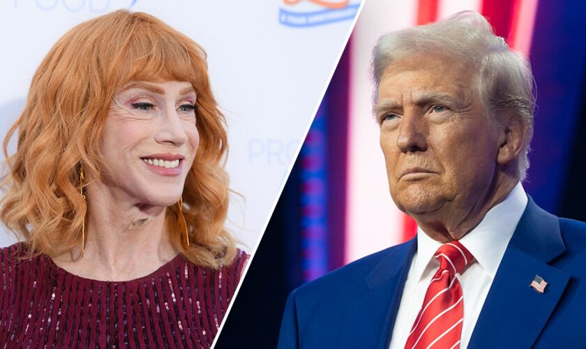 Kathy Griffin tells fans to see her before she's placed in Trump's 'internment camps'