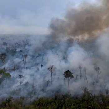 Brésil : derrière le triste record d’incendies en Amazonie, il y a quand même une bonne nouvelle en 2024