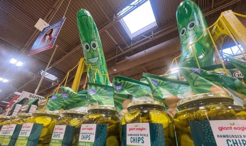 The art of the dill: When will America’s pickle obsession come to an end?