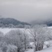 In der Eifel hat es über einen längeren Zeitraum erheblich geschneit Foto: Harald Tittel/dpa