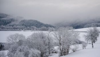 In der Eifel hat es über einen längeren Zeitraum erheblich geschneit Foto: Harald Tittel/dpa