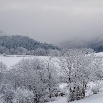 Wintereinbruch: Wintereinbruch in Eifel und Hunsrück