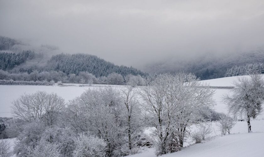 In der Eifel hat es über einen längeren Zeitraum erheblich geschneit Foto: Harald Tittel/dpa