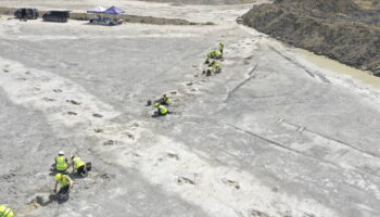 Une «autoroute de dinosaures» découverte au Royaume-Uni