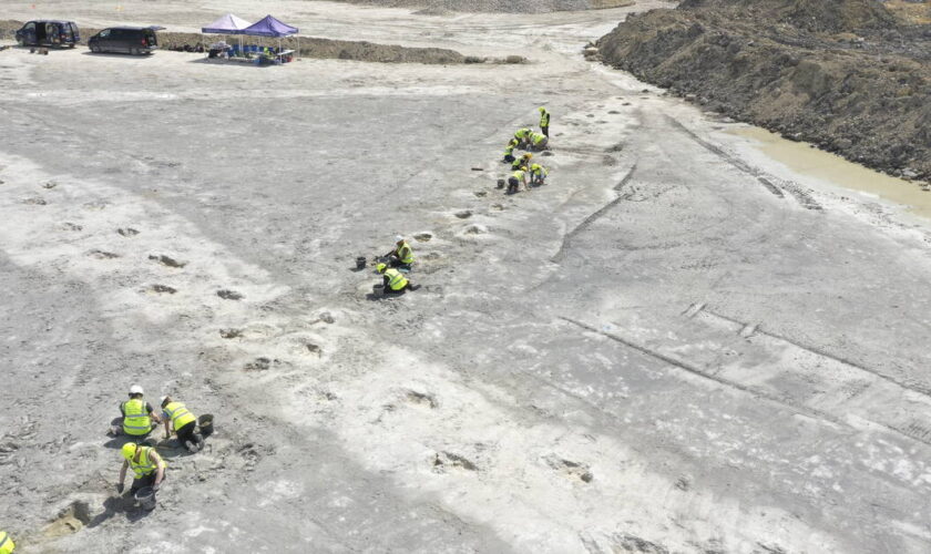 Une «autoroute de dinosaures» découverte au Royaume-Uni