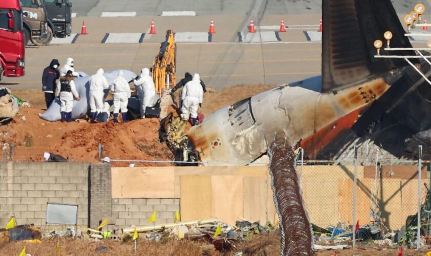 Ermittler untersuchen Sinn der Todes-Mauer am Flughafen Muan