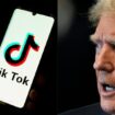 TikTok de nouveau accessible aux États-Unis, victoire politique pour Donald Trump