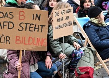Brandenburg: Kommission rügt AfD für rassistisches Wahlkampfvideo