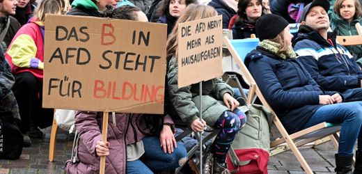 Brandenburg: Kommission rügt AfD für rassistisches Wahlkampfvideo