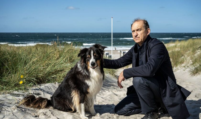 Carl Sievers versucht, das Vertrauen des scheuen Hundes Joker zu erlangen. Foto: Georges Pauly/ZDF/dpa