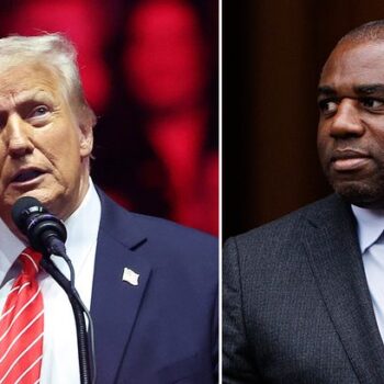 David Lammy praises 'funny' Donald Trump after previously calling him a sociopath