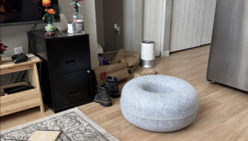 Only people with super vision can spot cat hiding in picture in less than five seconds