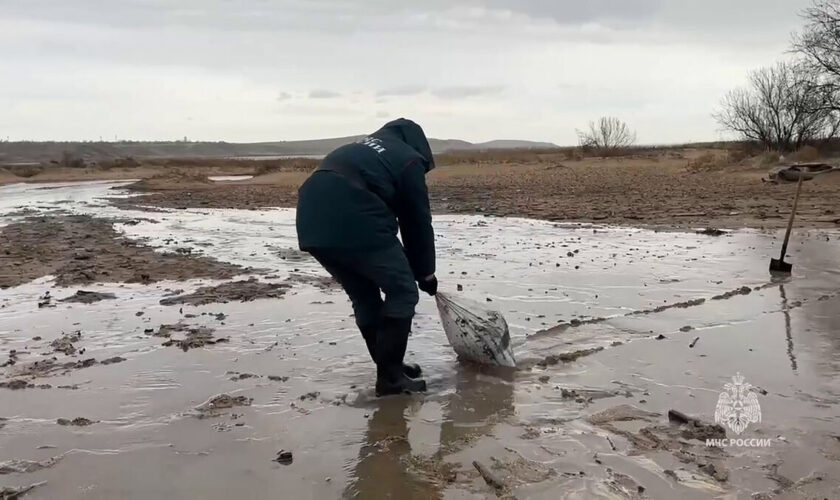 200 000 tonnes de sable souillées : la marée noire en Russie et Crimée continue de s’étendre sur le littoral