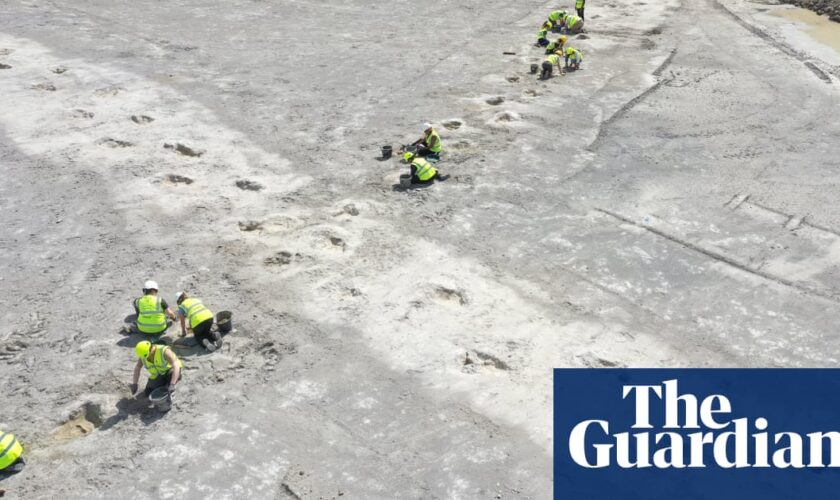 Biggest trackway of dinosaur footprints found in Oxfordshire quarry