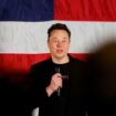 Musk's 'undignified' insults irritate German politicians