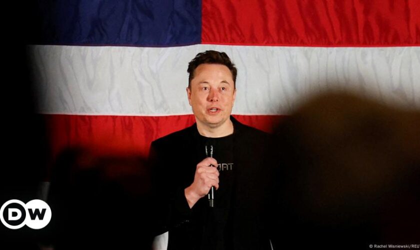 Musk's 'undignified' insults irritate German politicians