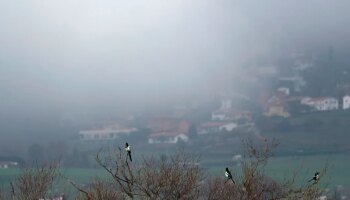 Nieblas densas y persistentes mantienen en aviso a 14 provincias mientras el sol reina en la mayor parte de España