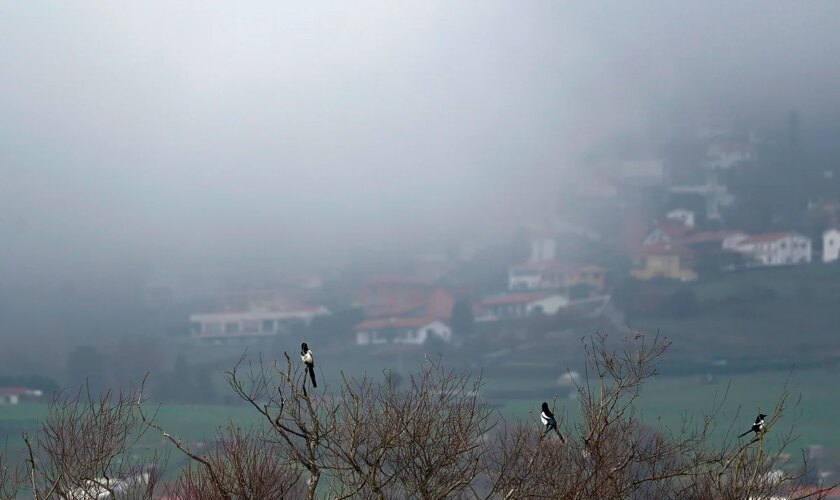 Nieblas densas y persistentes mantienen en aviso a 14 provincias mientras el sol reina en la mayor parte de España