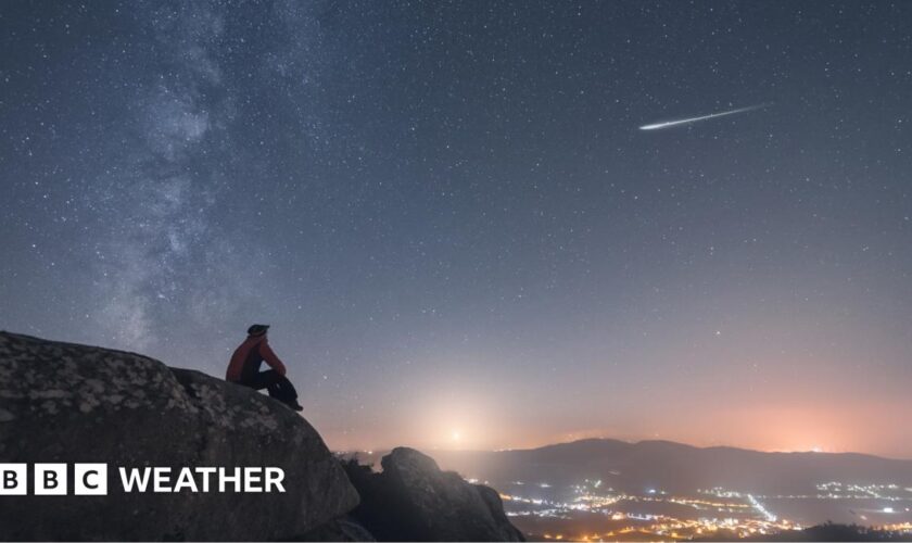 Quadrantid meteor streaks across a night sky. Silouette of of trees and hills in the foreground.