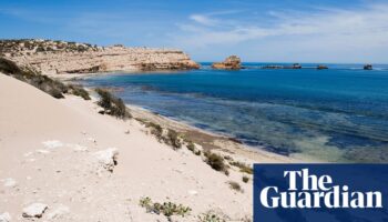 Surfer missing off South Australia’s west coast believed to be victim of shark attack