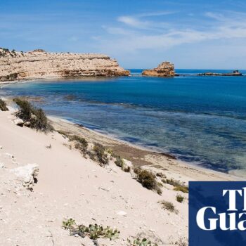 Surfer missing off South Australia’s west coast believed to be victim of shark attack