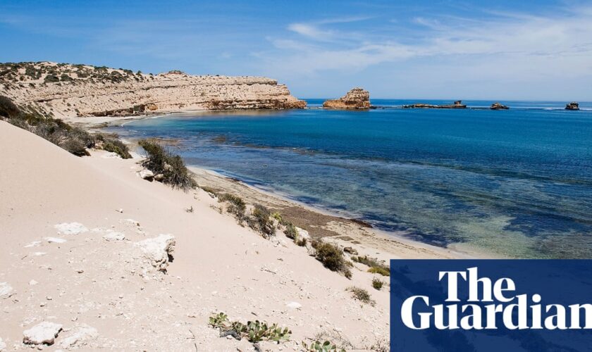 Surfer missing off South Australia’s west coast believed to be victim of shark attack