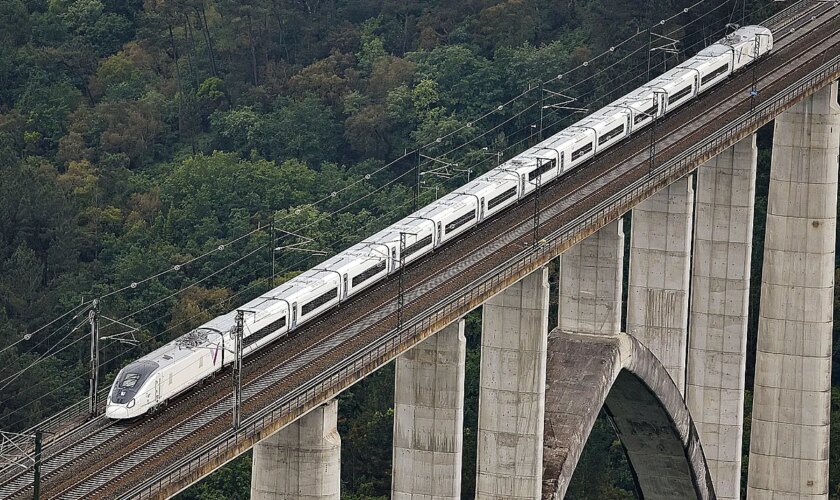 Talgo sube a Renfe en el primer caos ferroviario del año