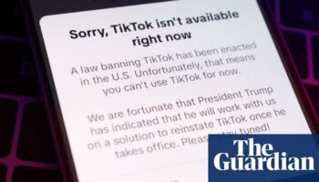 TikTok users posting cat videos do not threaten UK national security, minister says