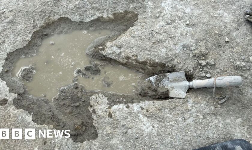 UK's biggest ever dinosaur footprint site unearthed