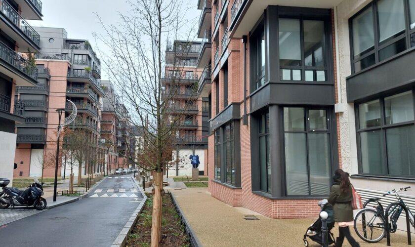 Village Delage à Courbevoie : « Est-ce qu’un peu de verdure justifie l’appellation écoquartier ? »